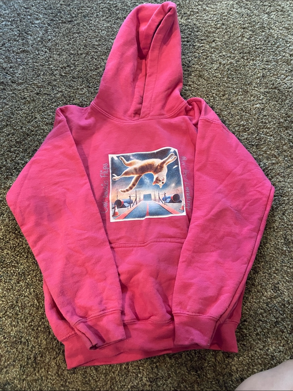 Kids Pink Hooded Sweatshirt with Graphic Cat Print